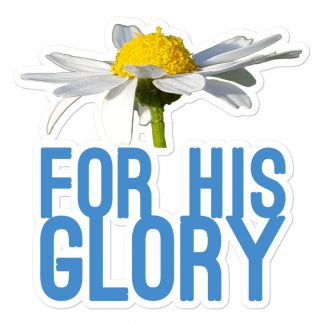 For His Glory